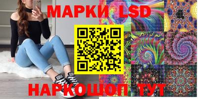 прущие грибы Моздок