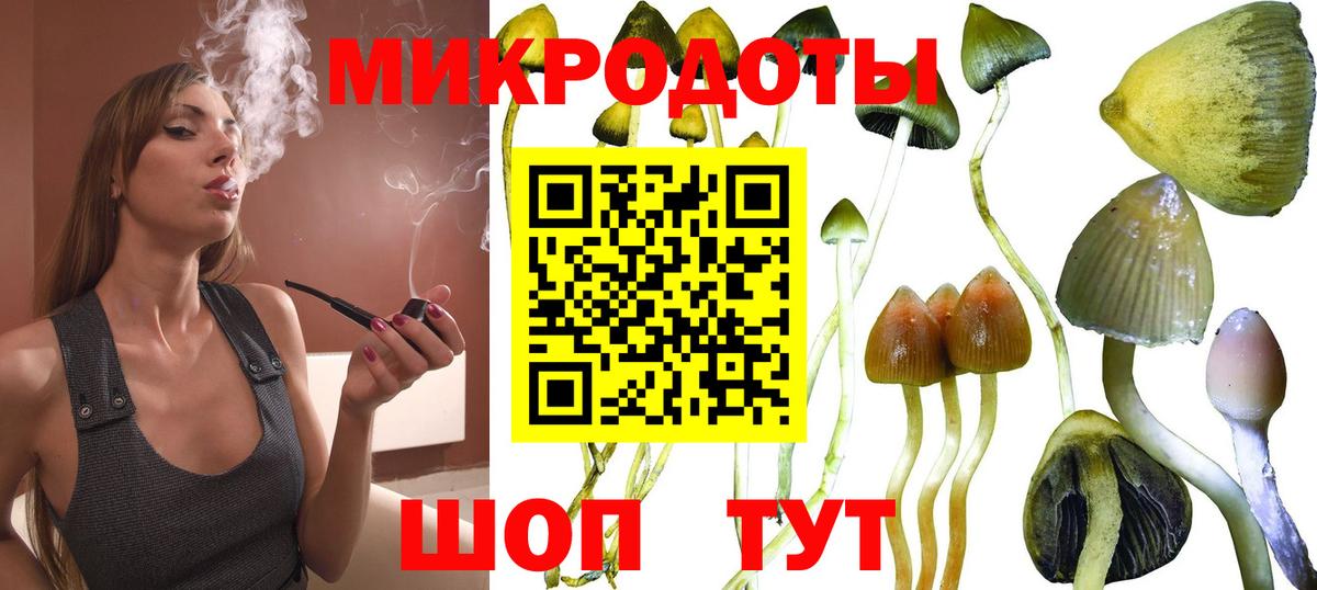 Псилоцибиновые грибы прущие грибы  Галлюциногенные грибы Magic Shrooms  Тимашёвск  Вход с VPN 