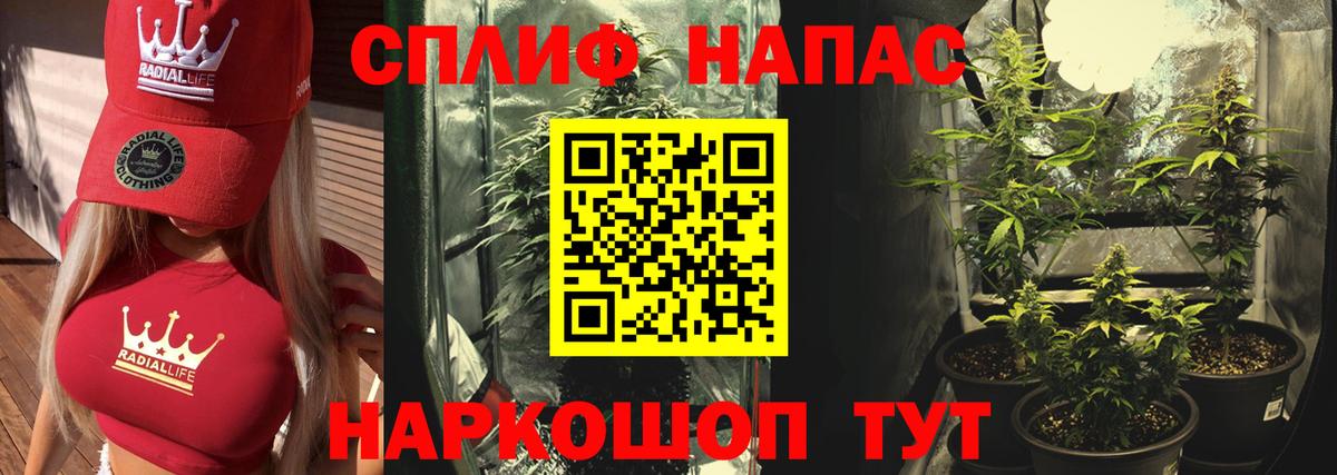 Каннабис OG Kush Тимашёвск